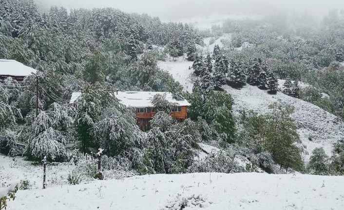 Artvin'de kar yağışı sürüyor