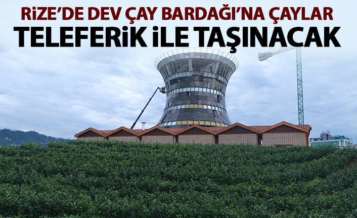 Rize'de dev çay bardağına demlenmiş çay teleferik ile taşınacak