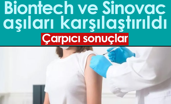 Sinovac ve Biontech aşıları karşılaştırıldı