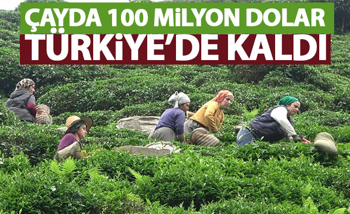 Çayda 100 Milyon dolar Türkiye'de kaldı