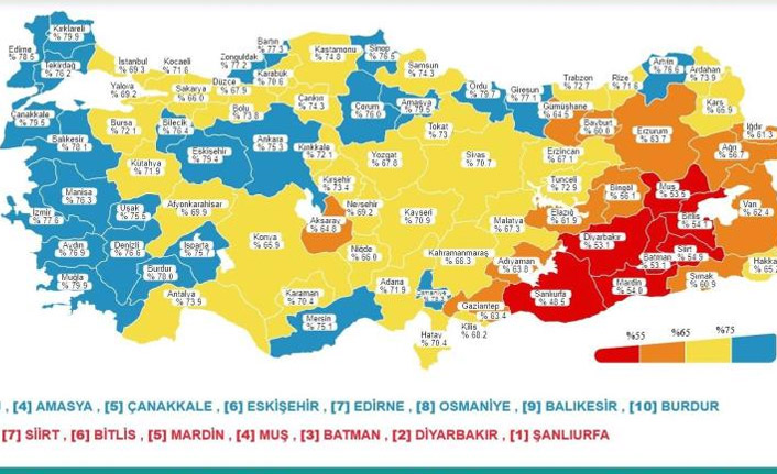 Karadeniz'de 8 il mavi kategoride