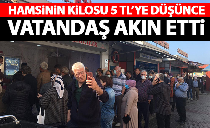 Hamsinin kilosu 5 TL'ye düşünce izdiham yaşandı