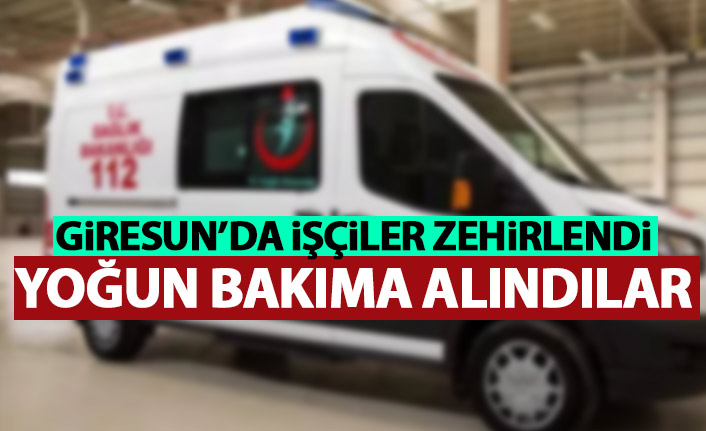 Giresun'da 6 işçi zehirlendi! Soruşturma başlatıldı!