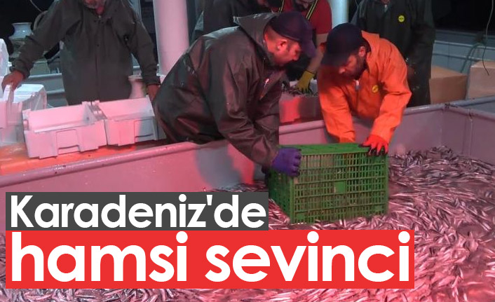 Karadeniz'de hamsi yüzleri güldürmeye başladı