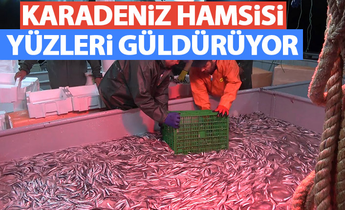 Karadeniz hamsisi yüzleri güldürüyor