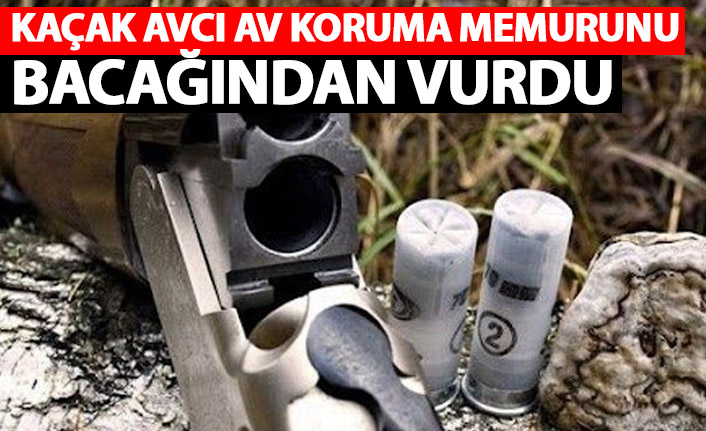 Kaçak avcı, av koruma memurunu bacağından vurdu