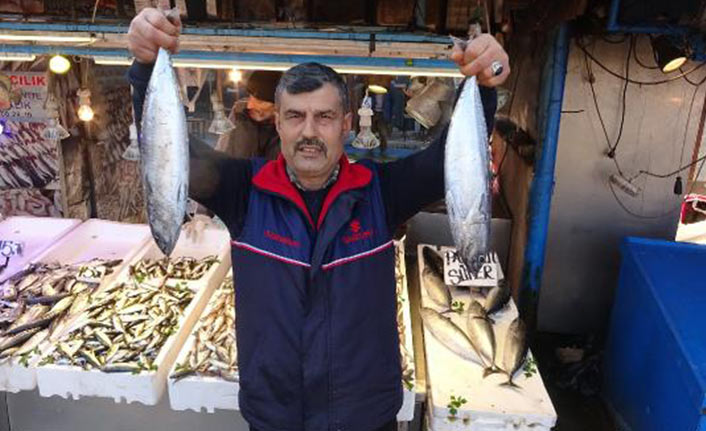 Boy sınırı altında avlanan palamut erken tükendi