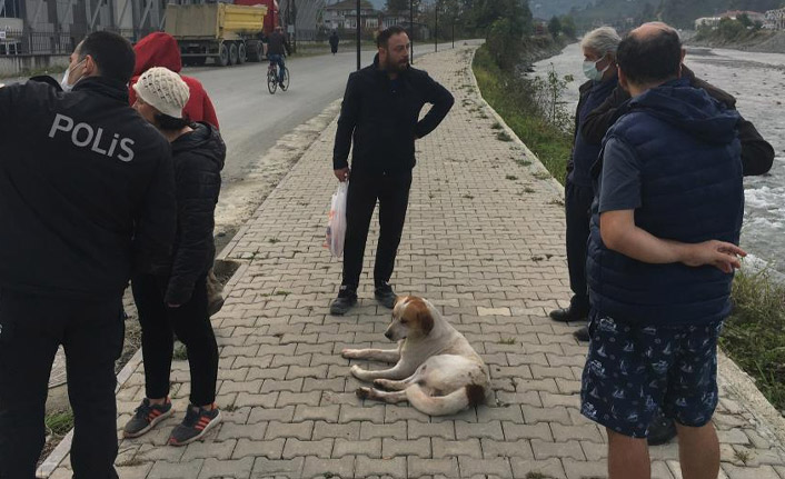 Silahla vurulan köpek için seferberlik