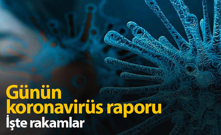 Günün koronavirüs raporu - 01.11.2021