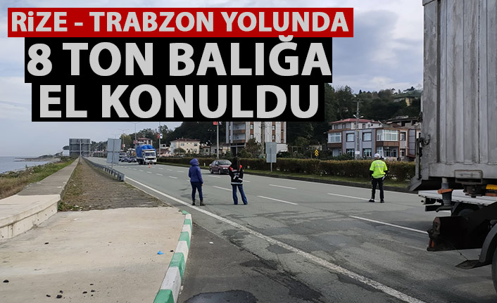 Rize-Trabzon yolunda 8 balığa el konuldu!