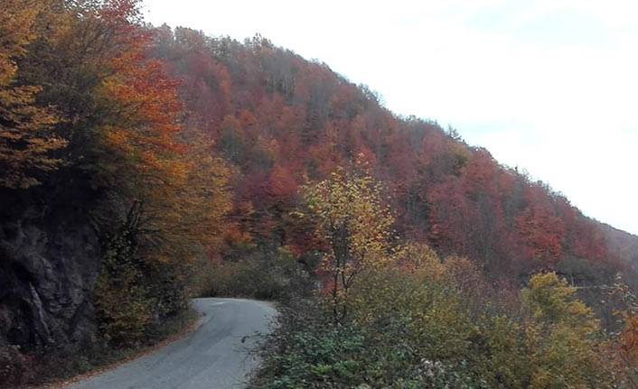 Ordu'da sonbahar güzelliği