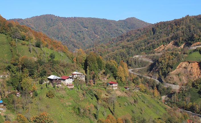 Rize'de bal ormanına taş ocağı için bilirkişi raporu