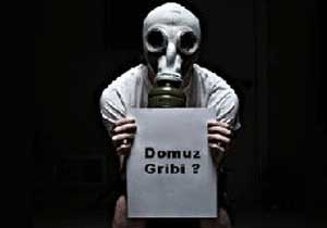 Domuz gribi paniği abartıldı