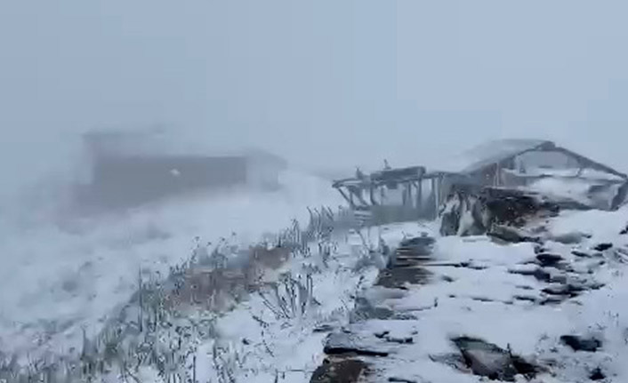 Artvin'de mevsimin ilk karı düştü