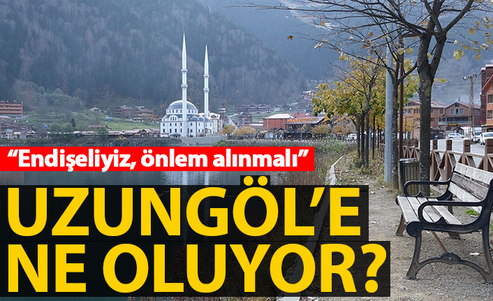 Trabzon'un turizm cennetinde balık ölümleri tedirgin etti