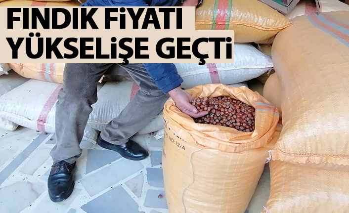 Fındık fiyatı yükselişe geçti