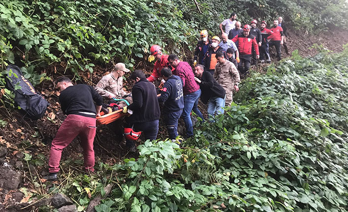 Giresun'da ağaç keserken uçuruma yuvarlandı!