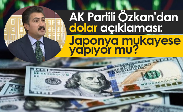 AK Partili Özkan'dan dolar açıklaması: Japonya bir mukayese yapıyor mu?