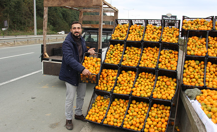 Derepazarı mandalinası tezgaha indi