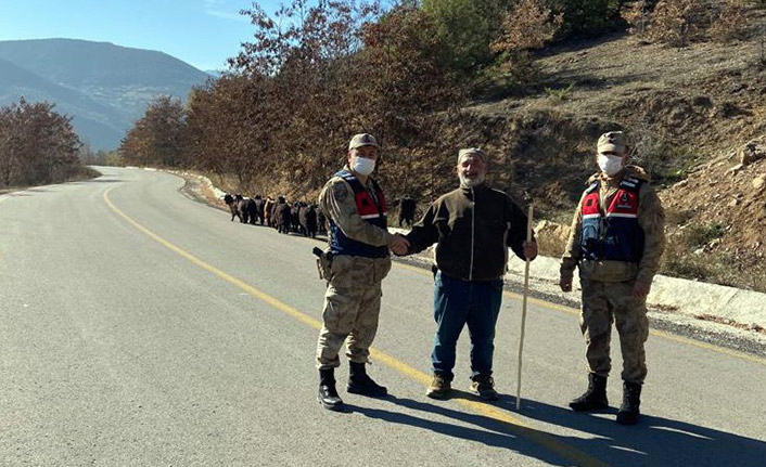 Jandarma kaybolan keçileri dronla buldu