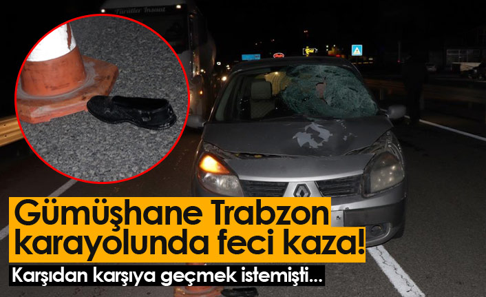 Gümüşhane Trabzon karayolunda feci kaza!