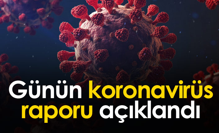 Günün koronavirüs raporu - 26.11.2021