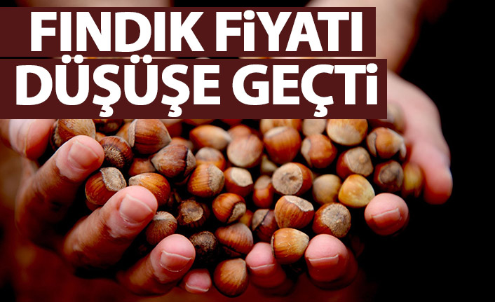 Fındık fiyatı düşüşe geçti