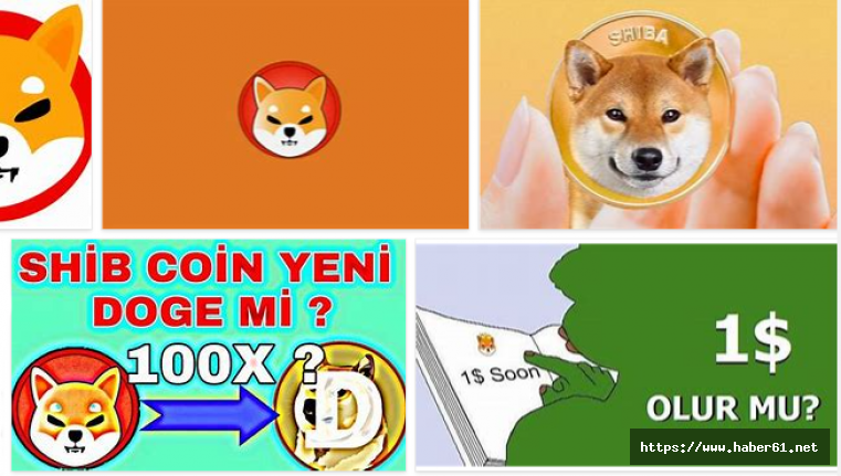 Shiba Coin, Shiba Inu Coin Nedir?