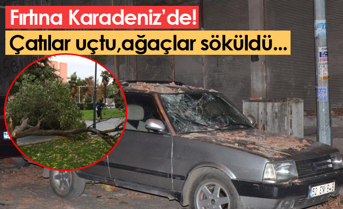 Karadeniz'de fırtına etkili oldu