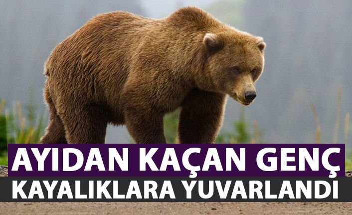 Ayıdan kaçan genç kayalıklara yuvarlandı