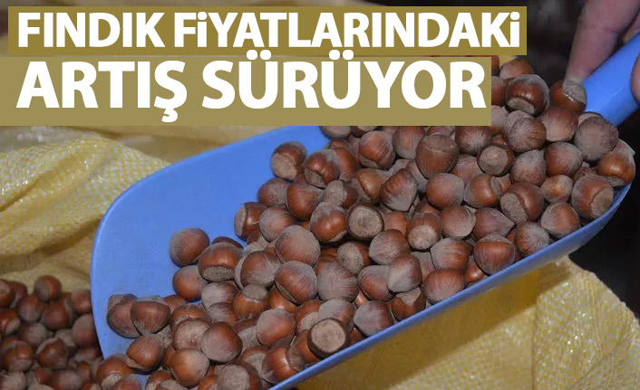 Fındık fiyatı yükselişini sürdürüyor