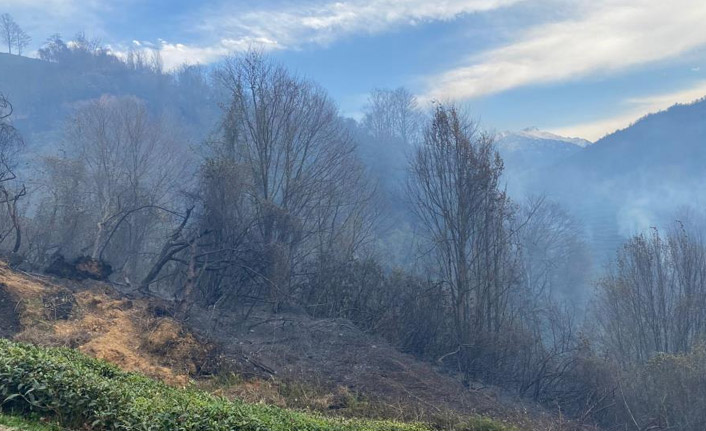 Rize’nin Fındıklı ilçesinde yangın