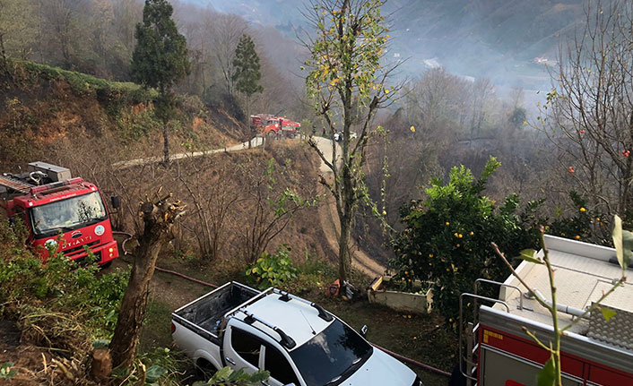 Rize'de ormanlık alanda yangın