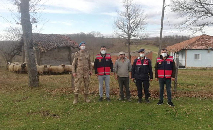 Kaybolan 130 küçükbaş hayvanı jandarma buldu