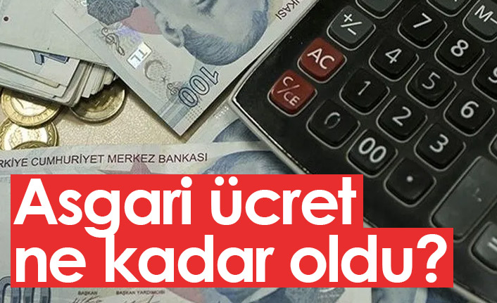 Asgari ücret ne kadar oldu? Asgari ücret 2022 rakamı