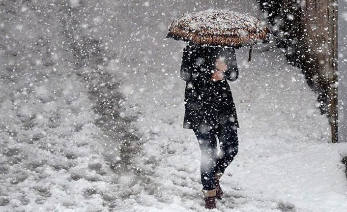 Artvin'de kar yağışı etkili oluyor