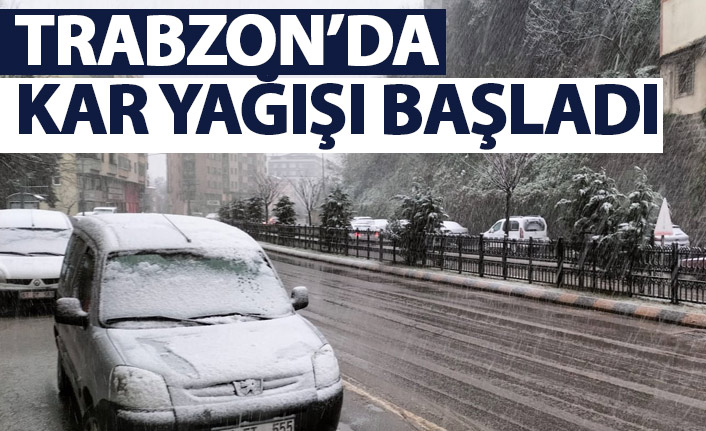 Trabzon'da kar yağışı başladı