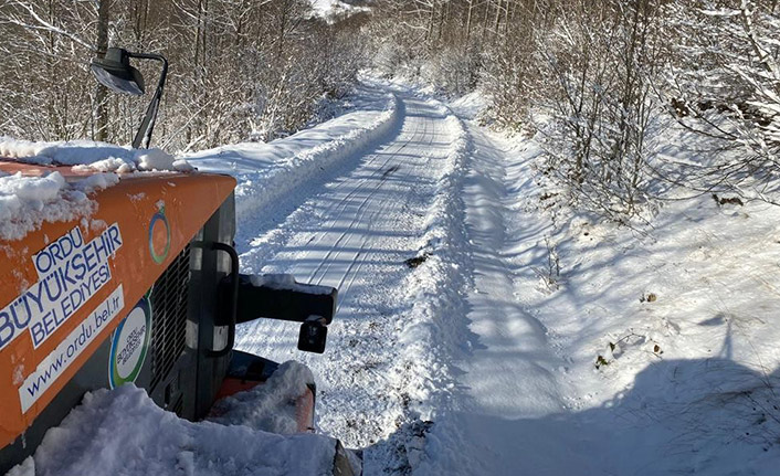 Ordu'nun yüksek kesimlerinde kar 30 cm