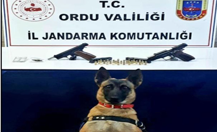 Jandarmadan uyuşturucu operasyonu - 22 Aralık 2021