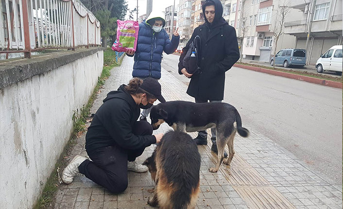  Öğrenciler sokak hayvanlarını besledi