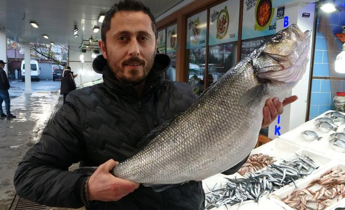 8 kiloluk levrek 2 bin liradan satışta