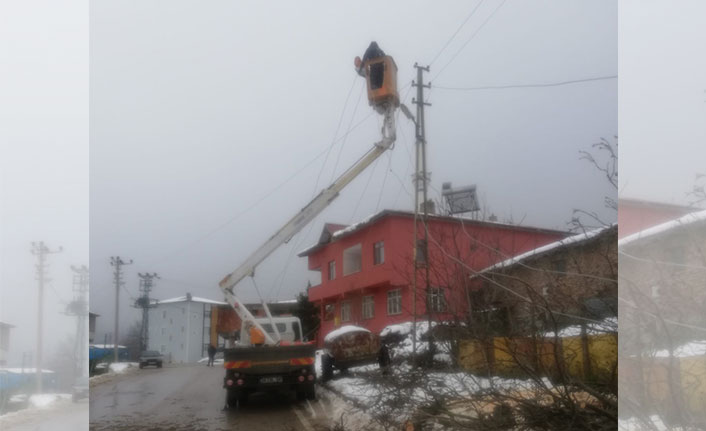 Samsun'da fırtına ağaçları devirdi