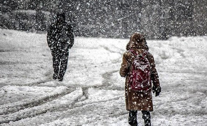 Ordu'nun 19 ilçesinde eğitime kar engeli