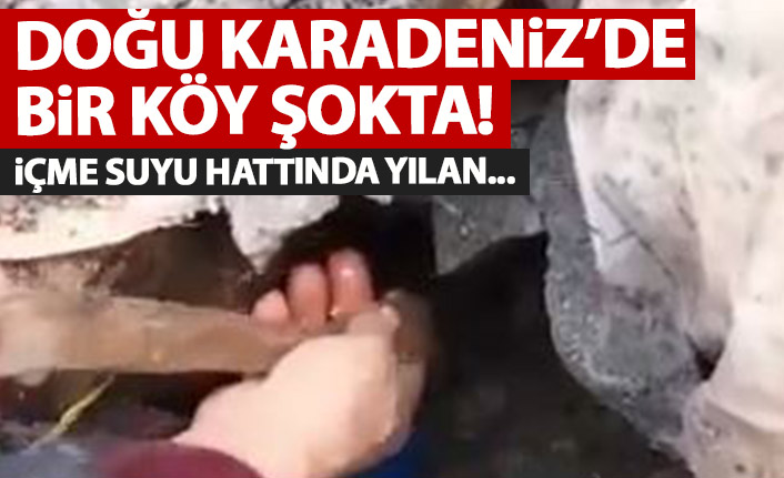 Doğu Karadeniz'de bir köy şokta! İçme suyu hattından yılan derisi