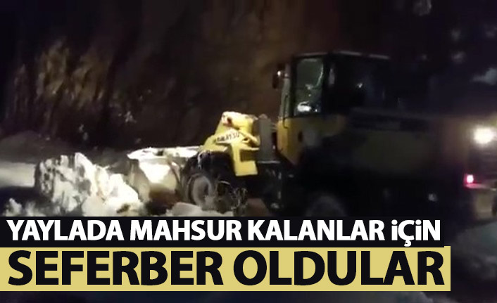 Yaylada mahsur kalan çobanlar kurtarıldı