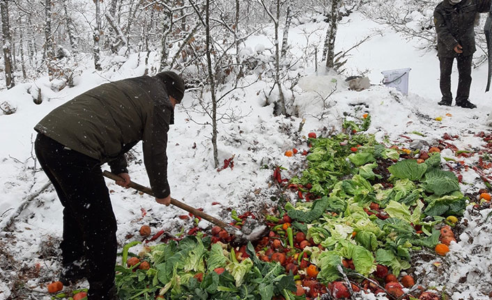 Ordu’da yaban hayvanları için doğaya 5 bin 800 kilogram yem bırakıldı