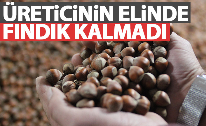 Üreticinin elinde ihtiyacı karşılayacak fındık kalmadı