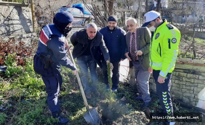 Şehit babası 3 binin üzerinde fidan dikti