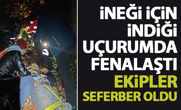 İneği için indiği uçurumda fenalaştı! Ekipler seferber oldu