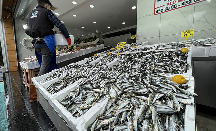 Samsun'da hamsi ve istavritin kilogramı 25 liradan satılıyor